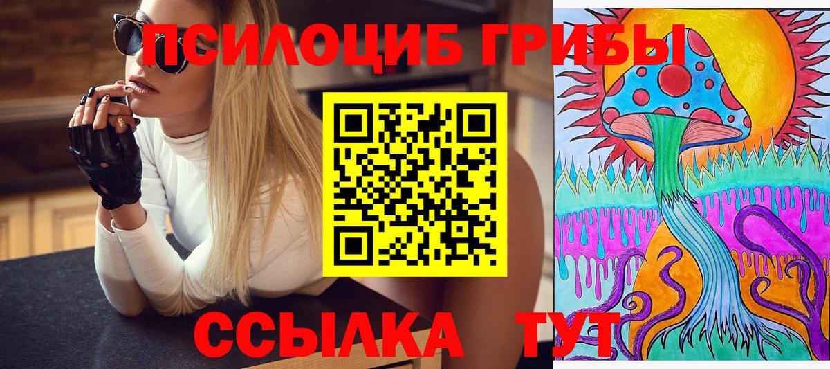 Псилоцибиновые грибы Cubensis Татарск