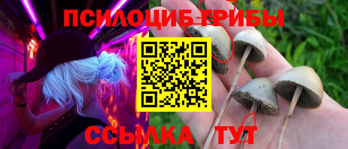 Галлюциногенные грибы Psilocybe  Вход с VPN  дарнет шоп  Татарск 